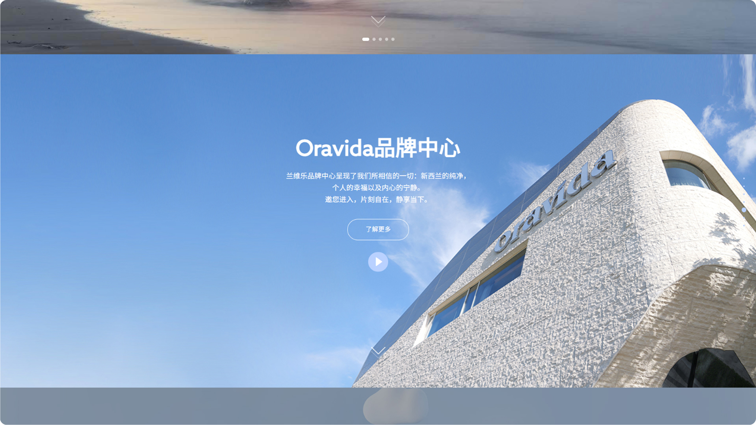 兰维乐食品网站(图5)